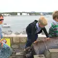 Harry climbs on too, A Tamar River Trip, Plymouth, Devon - 30th May 2016