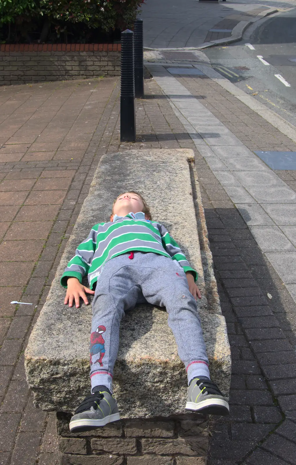 Fred takes a break, from A Tamar River Trip, Plymouth, Devon - 30th May 2016