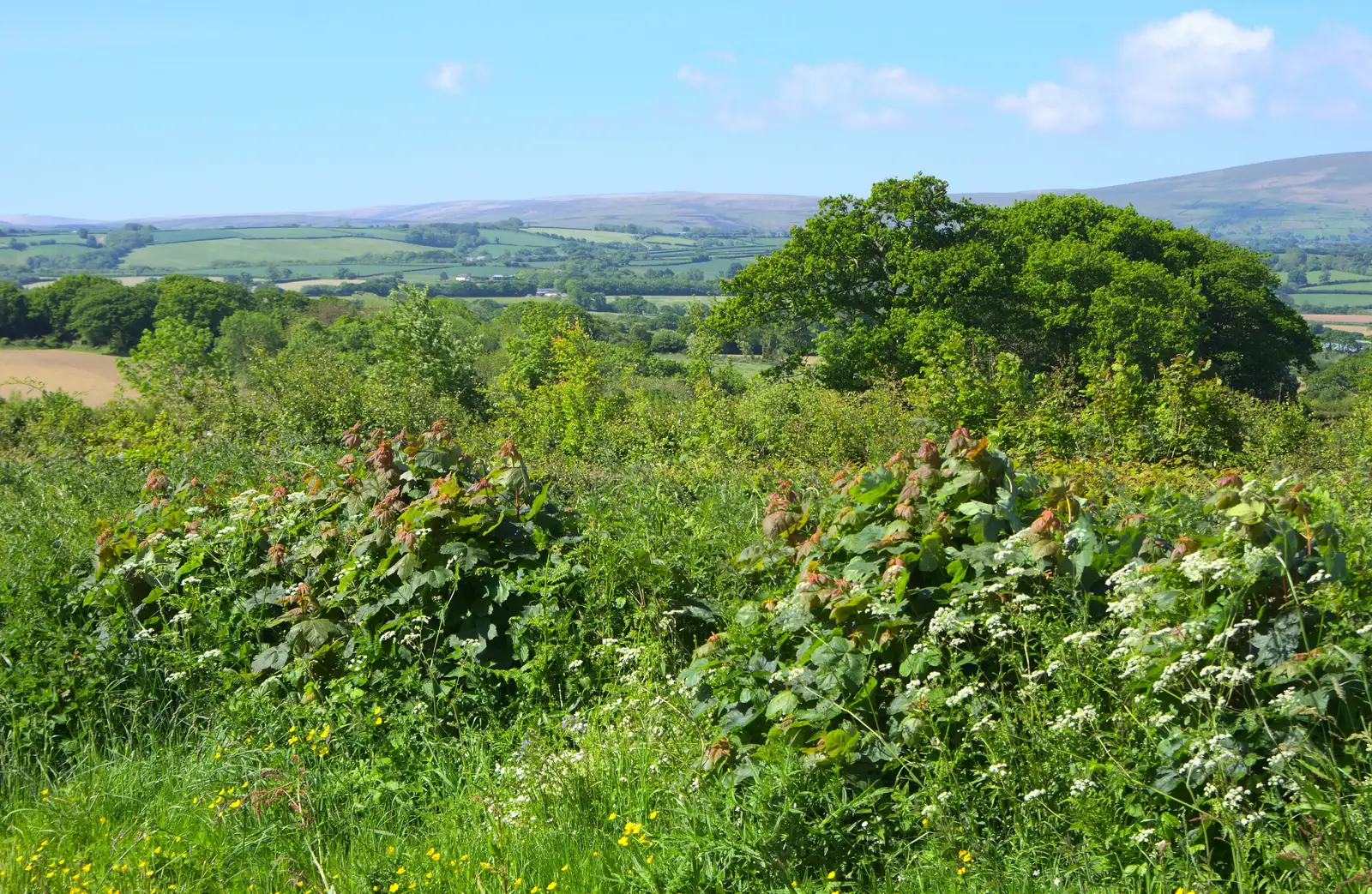 A view from the village shop, from Spreyton to Stonehenge, Salisbury Plain, Wiltshire - 31st May 2016