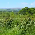 A view from the village shop, Spreyton to Stonehenge, Salisbury Plain, Wiltshire - 31st May 2016