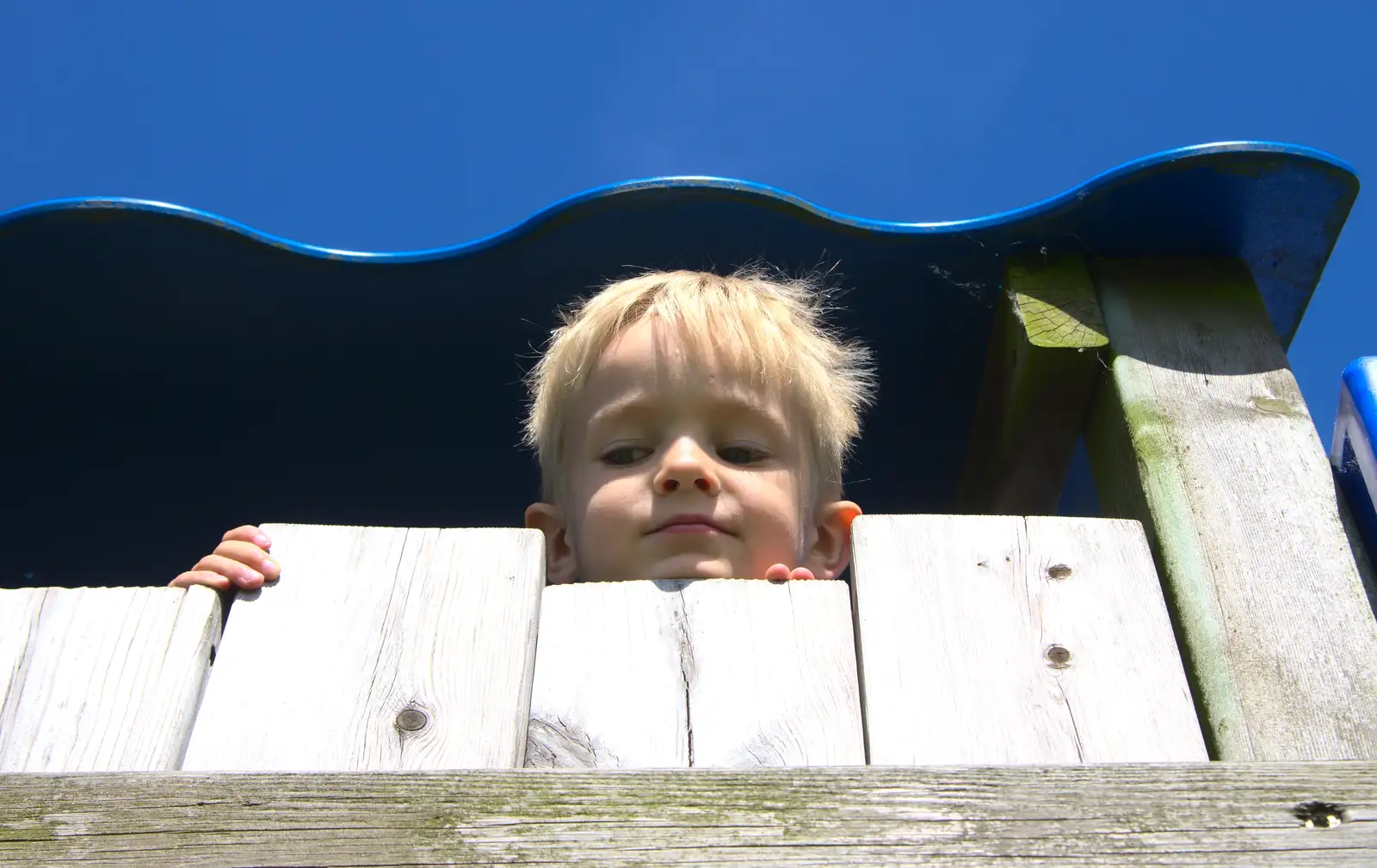 Harry peers out, from Spreyton to Stonehenge, Salisbury Plain, Wiltshire - 31st May 2016