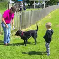 A dog gets exercised with a golf ball, Spreyton to Stonehenge, Salisbury Plain, Wiltshire - 31st May 2016