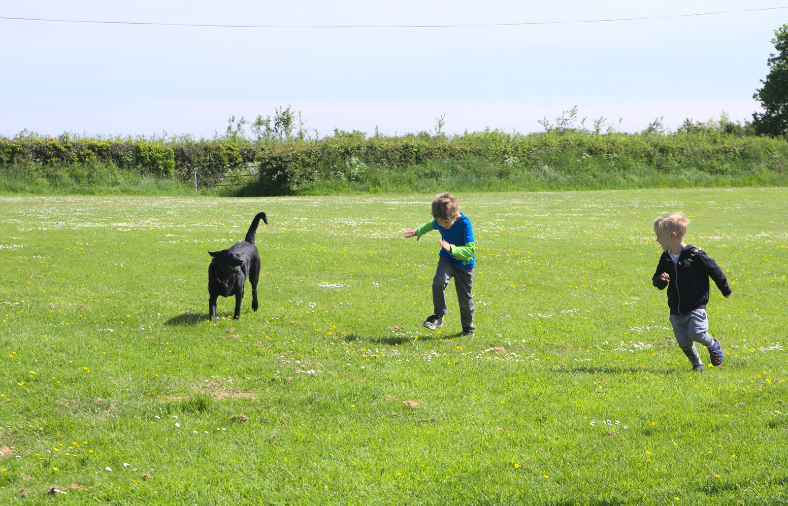 The boys chase the labrador around from Spreyton to Stonehenge, Salisbury Plain, Wiltshire - 31st May 2016