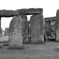 Epic standing stones, Spreyton to Stonehenge, Salisbury Plain, Wiltshire - 31st May 2016