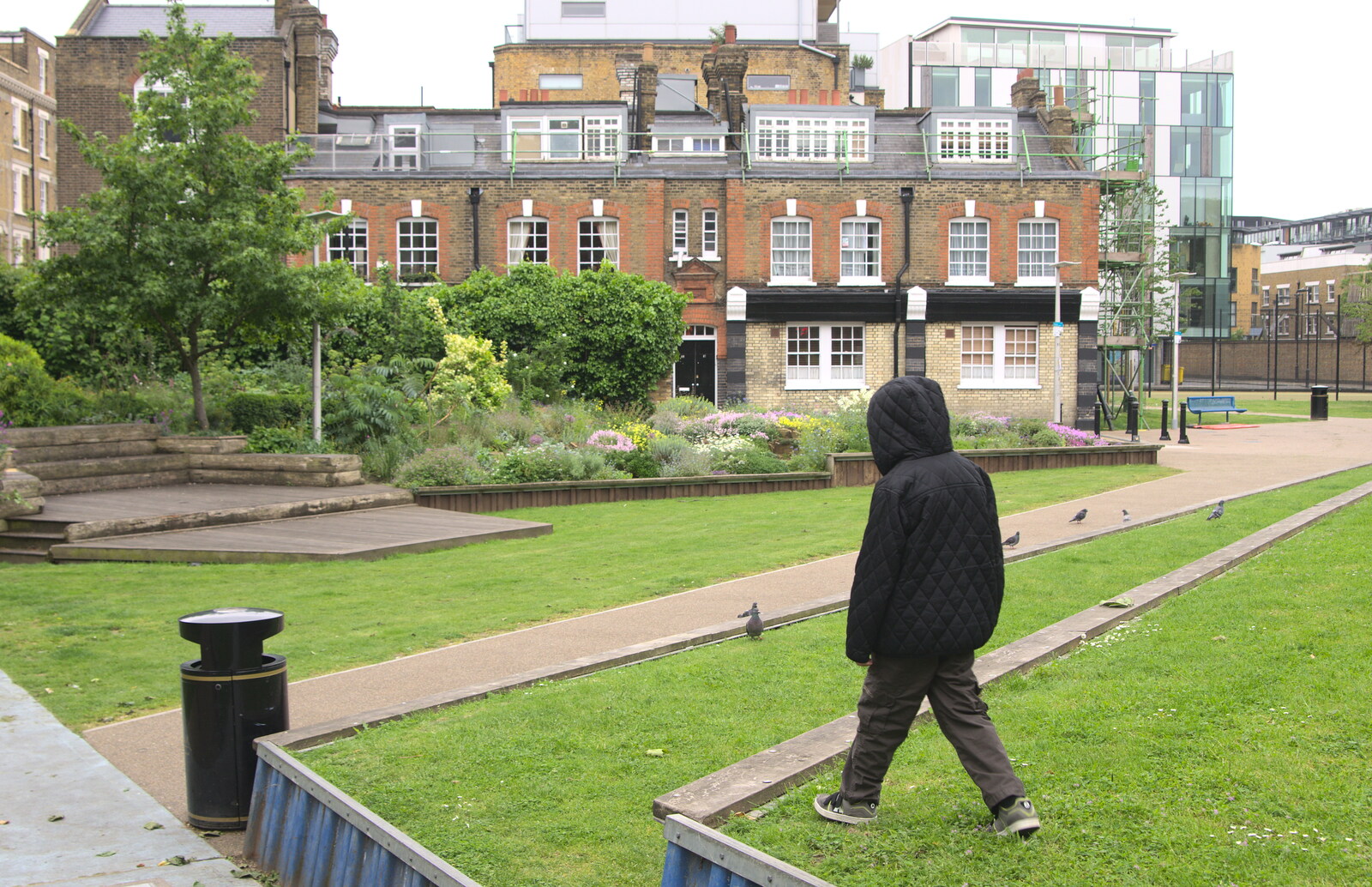 Fred roams through Mint Street Park in Southwark from A Trip to the Office and the Mayor-Making Parade, Eye, Suffolk - 4th June 2016