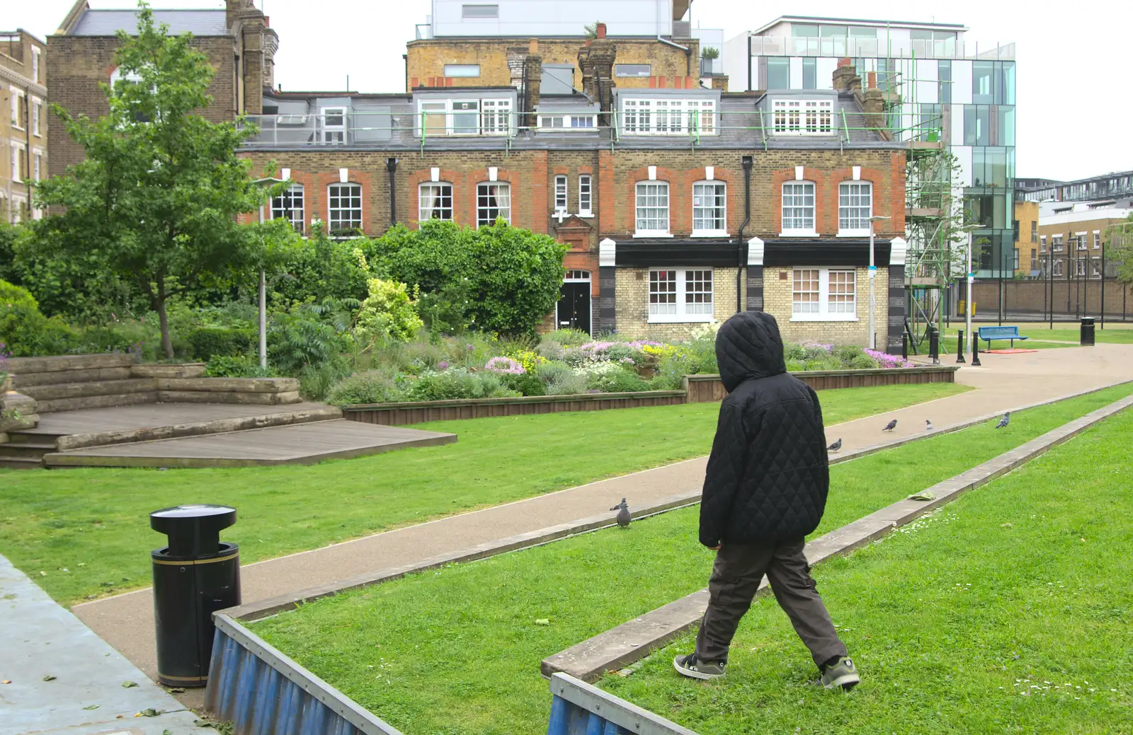 Fred roams through Mint Street Park in Southwark, from A Trip to the Office and the Mayor-Making Parade, Eye, Suffolk - 4th June 2016