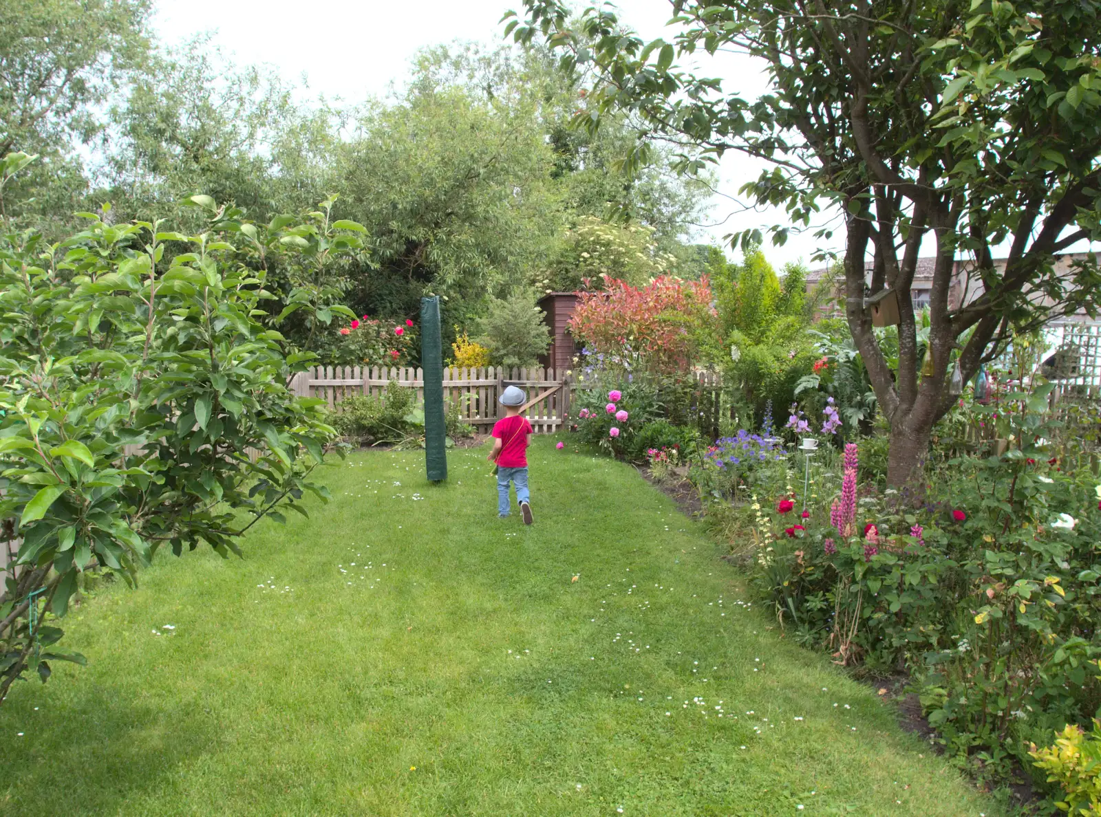 Gabes legs it to the end of the garden, from The BBs at Fersfield, Norfolk - 11th June 2016