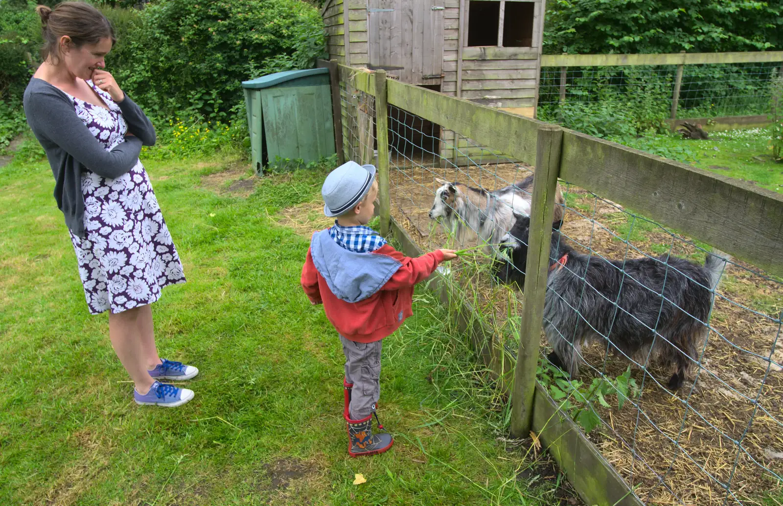 Isobel and Harry look at some goats, from The Queen's Village Hall Birthday, Brome, Suffolk - 12th June 2016