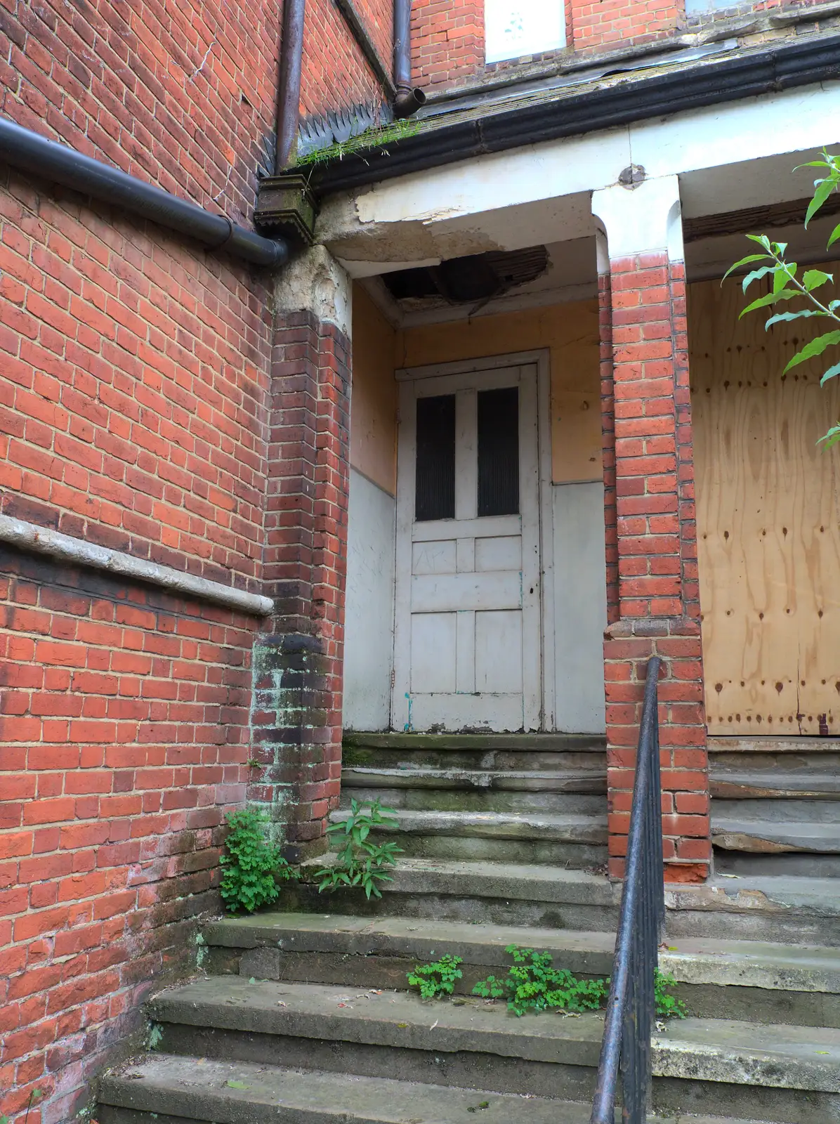 Plants grow out of the steps, from Caoimhe the Shoe's Desk, Highbury, London - 18th June 2016