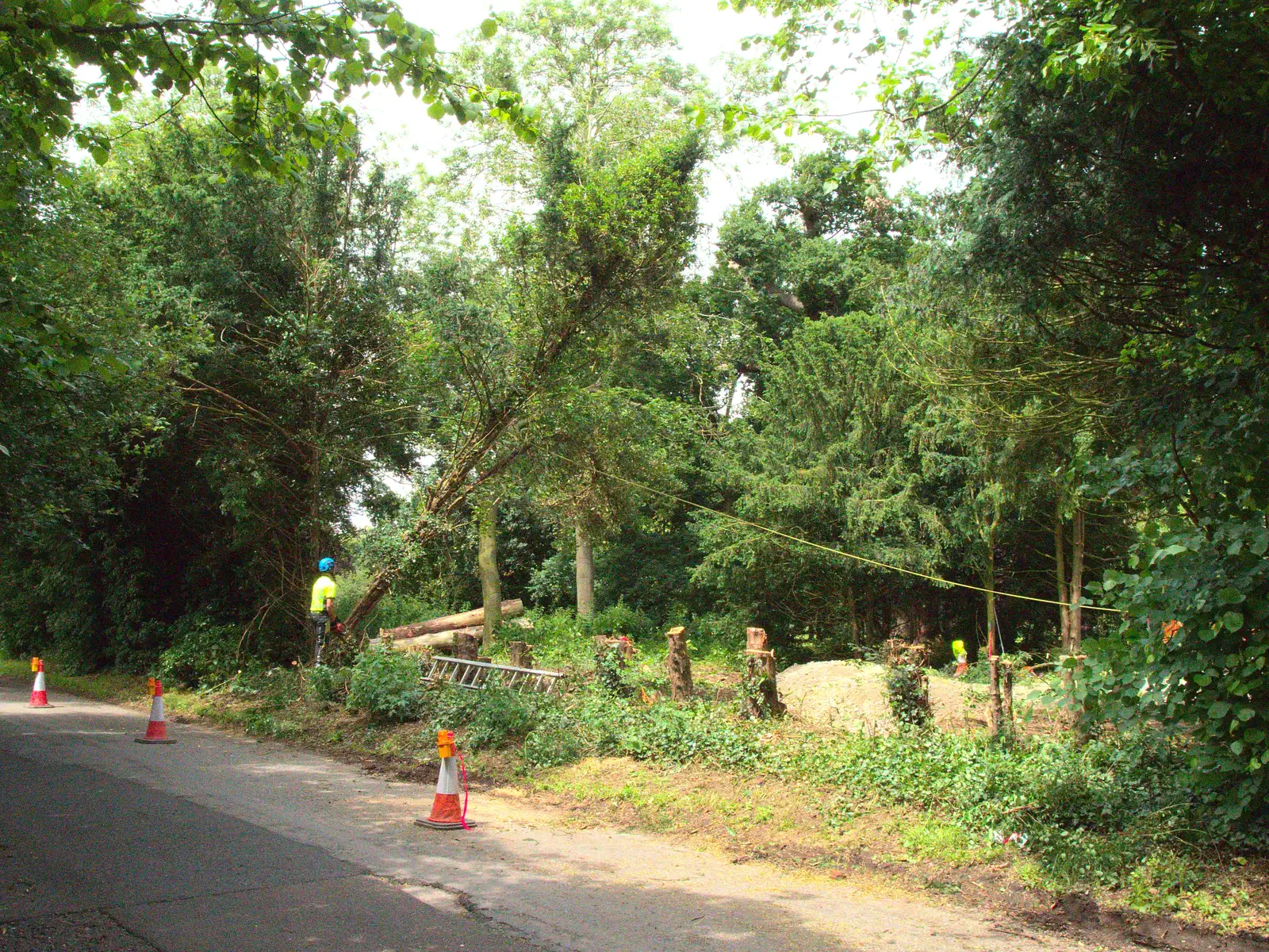 Timber: a tree is chopped down, from A Trip to Norwich and Diss Markets, Norfolk - 25th June 2016