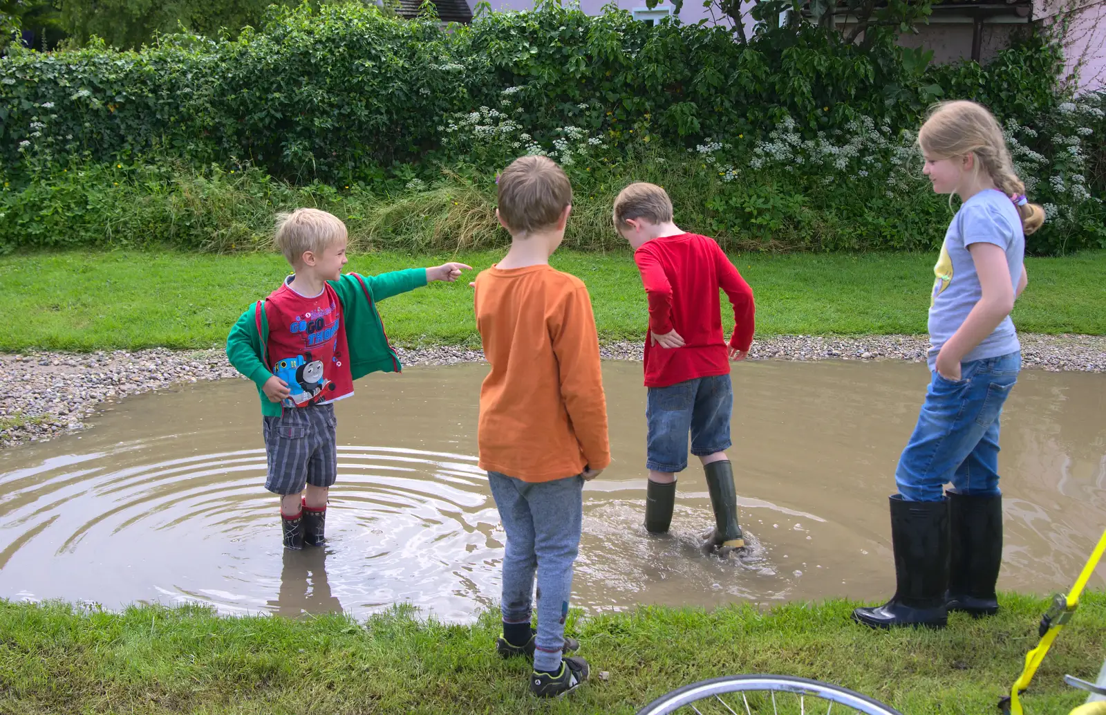 Harry's in the puddle, from Thrandeston Pig, Little Green, Thrandeston, Suffolk - 26th June 2016