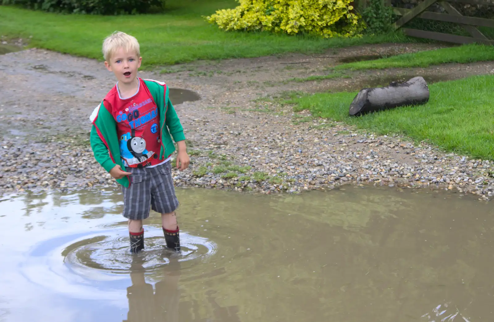 Harry has a shout, from Thrandeston Pig, Little Green, Thrandeston, Suffolk - 26th June 2016