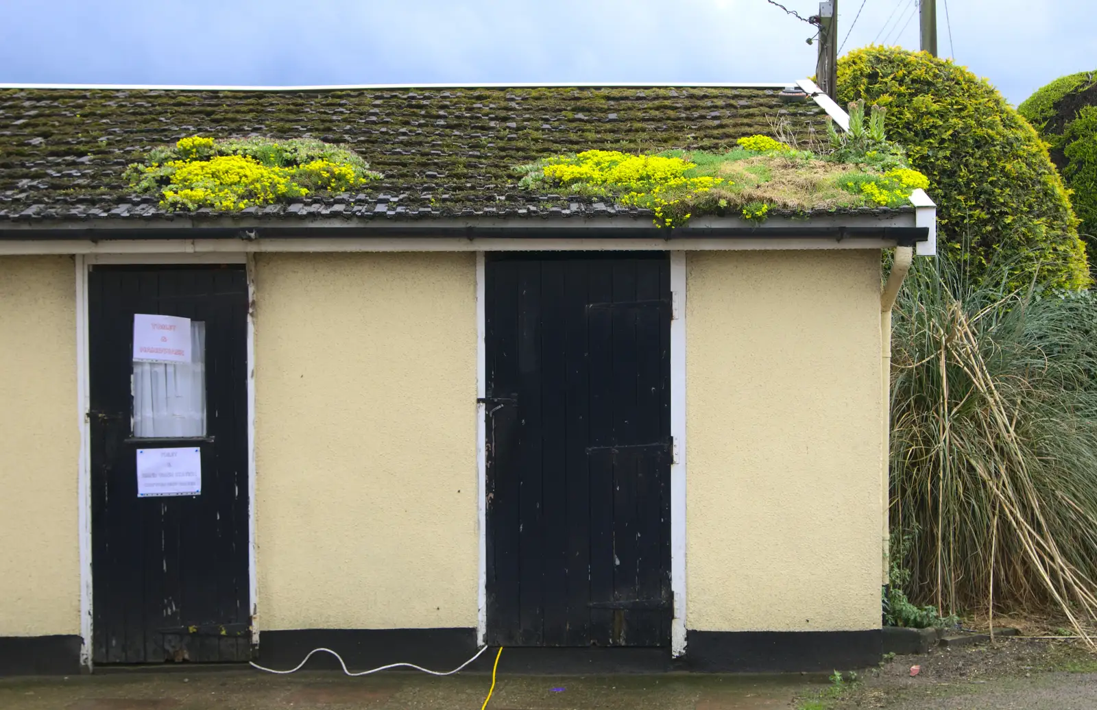 Moss grows on a roof, from Thrandeston Pig, Little Green, Thrandeston, Suffolk - 26th June 2016