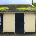 Moss grows on a roof, Thrandeston Pig, Little Green, Thrandeston, Suffolk - 26th June 2016