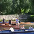 More punting, Back in the 'Bridge: an Anniversary, Cambridge - 3rd July 2016