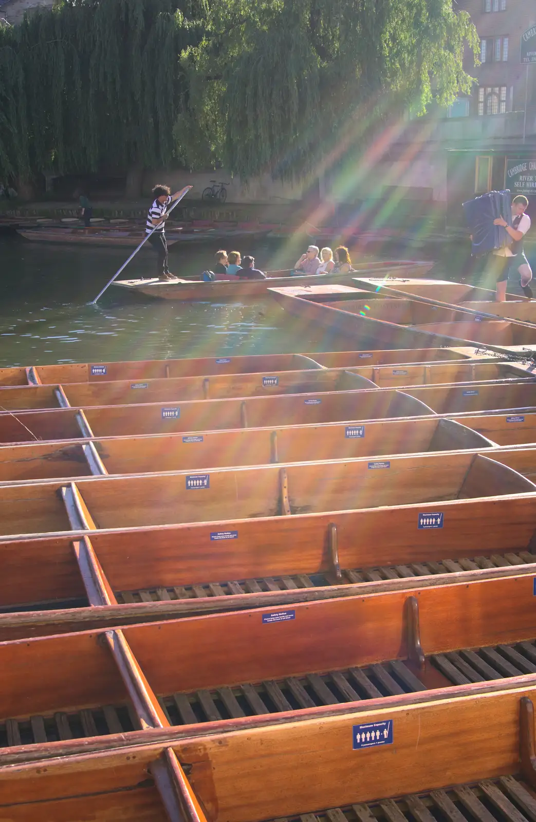 Punts in the evening sunshine, from Back in the 'Bridge: an Anniversary, Cambridge - 3rd July 2016