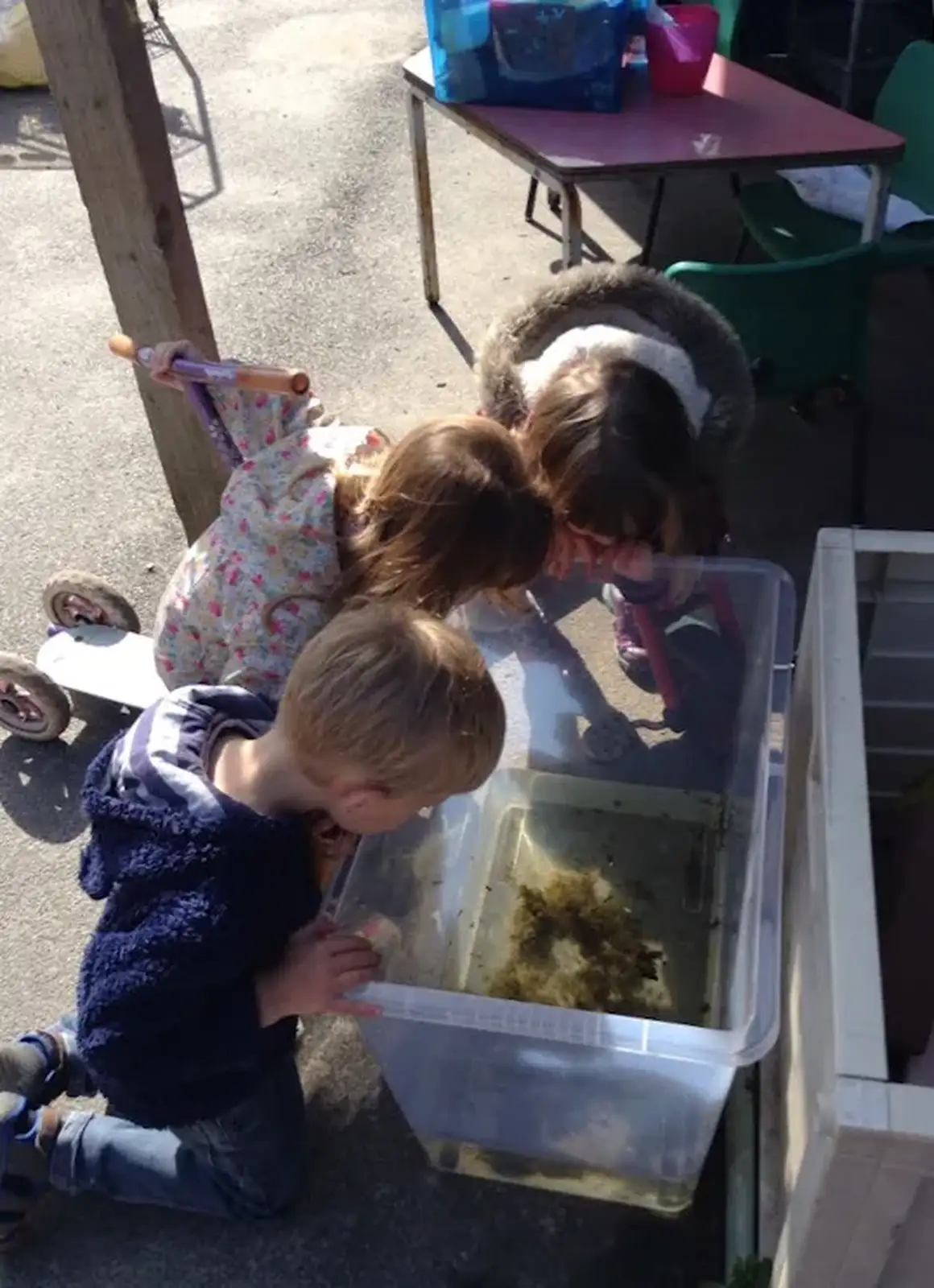 Harry peers into a tank, from Harry's Nursery Life, Mulberry Bush, Eye, Suffolk - 8th July 2016