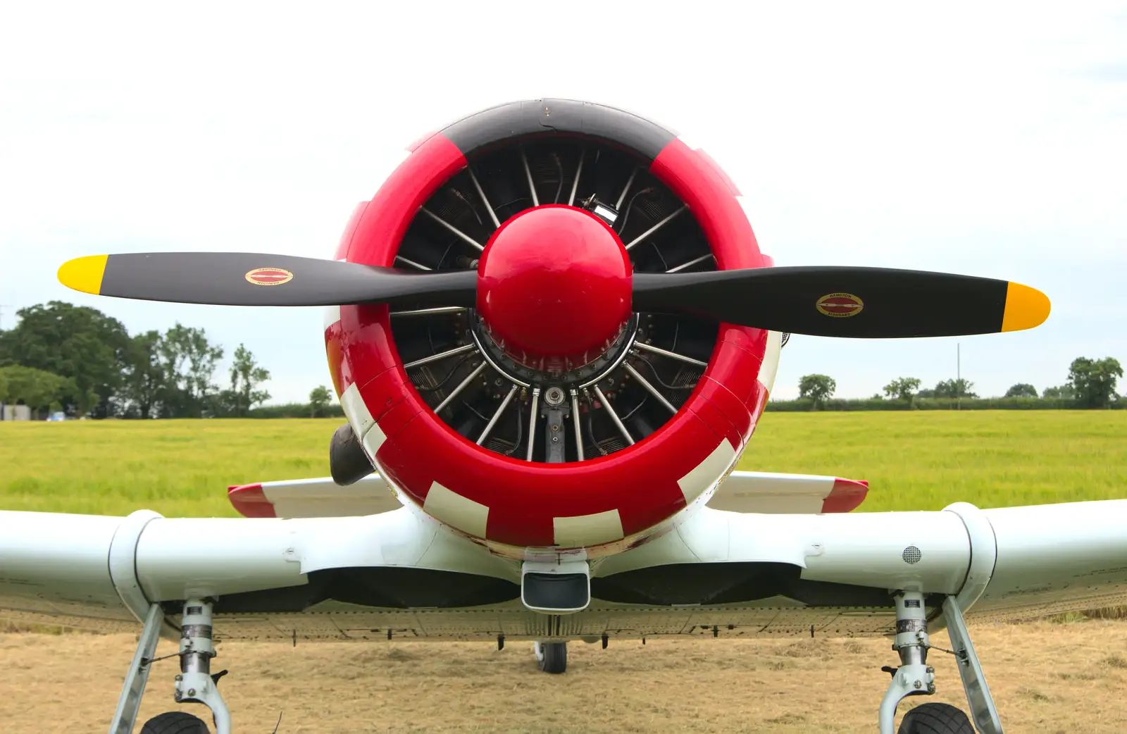 Front view of the Harvard's nose, from "Our Little Friends" Warbirds Hangar Dance, Hardwick, Norfolk - 9th July 2016