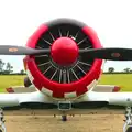 Front view of the Harvard's nose, "Our Little Friends" Warbirds Hangar Dance, Hardwick, Norfolk - 9th July 2016