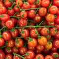 A bunch of cherry tomatoes, Fred's Camping, Curry and the Closing of B&Q, Thetford, Diss  and Ipswich - 16th July 2016