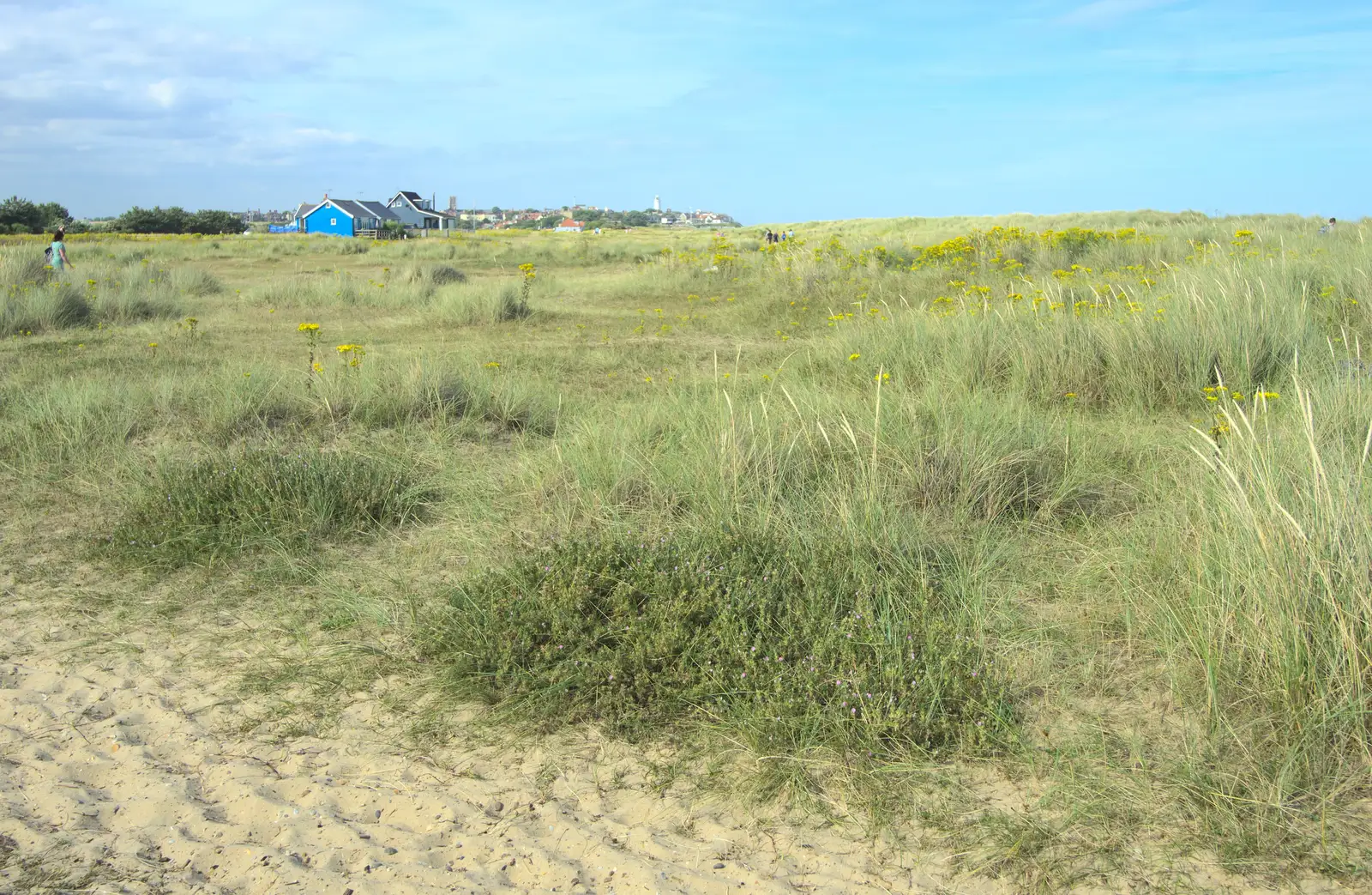 The dunes, looking towards Southwold, from A Short Trip to Southwold, Suffolk - 24th July 2016