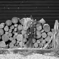 A pile of logs by a fisherman's hut, A Short Trip to Southwold, Suffolk - 24th July 2016