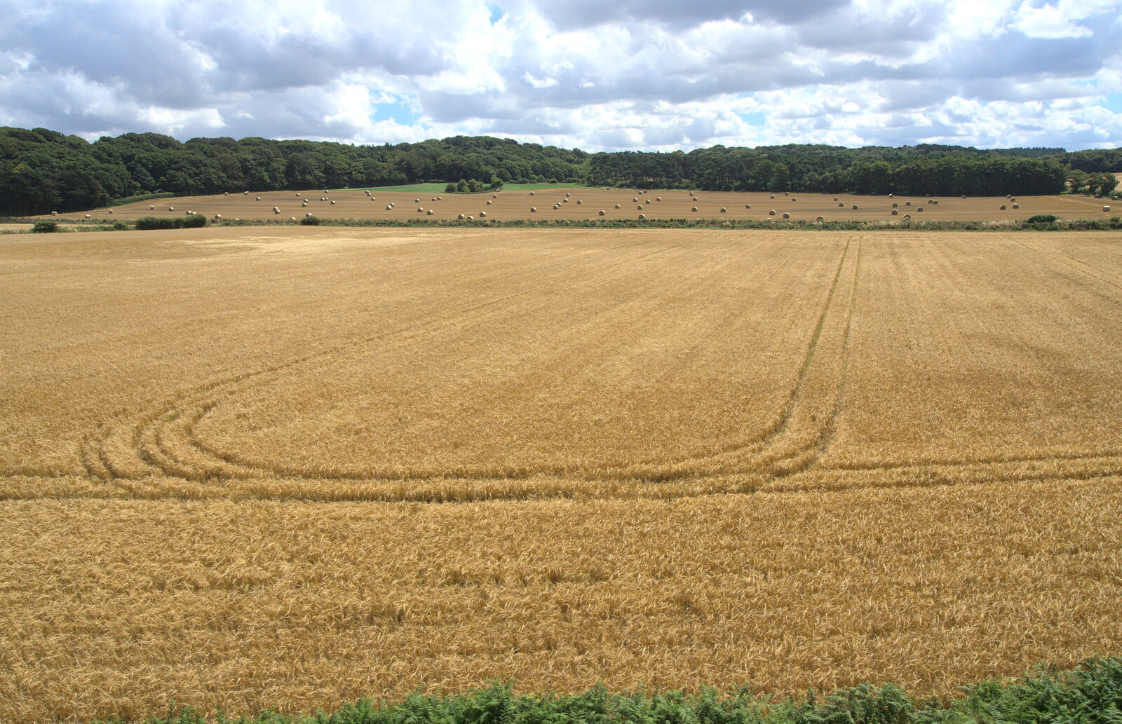 The golden wheat fields of Norfolk from Sheringham Steam, Sheringham, North Norfolk - 31st July 2016