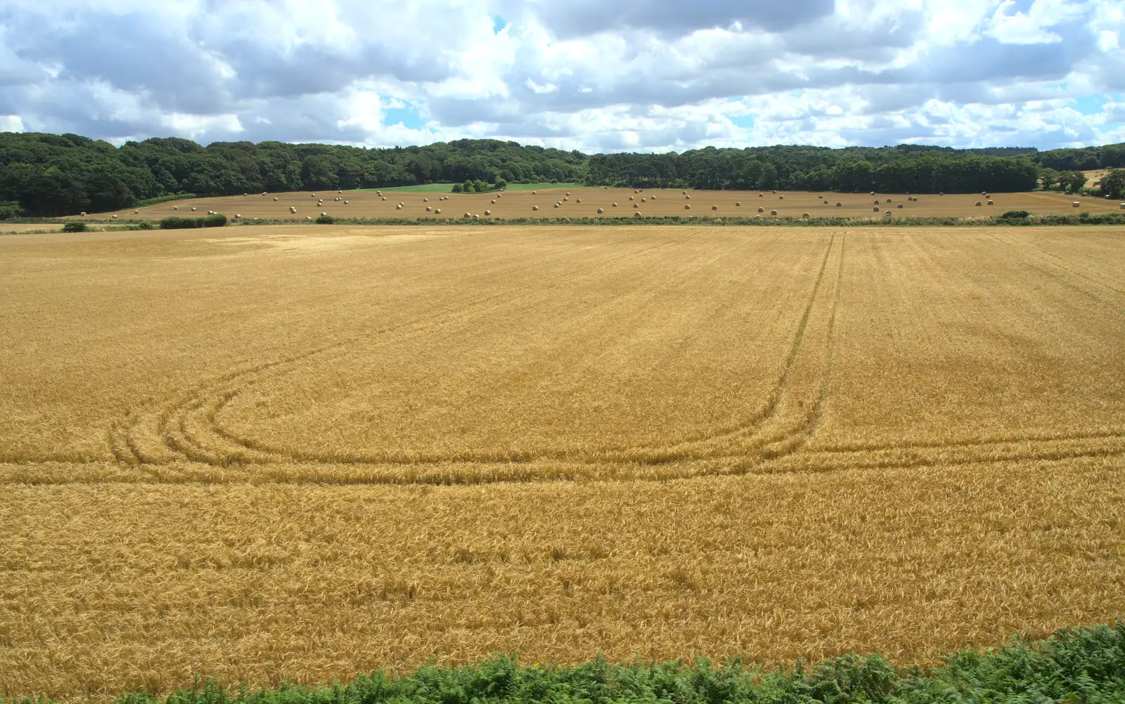 The golden wheat fields of Norfolk, from Sheringham Steam, Sheringham, North Norfolk - 31st July 2016