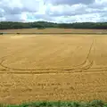 The golden wheat fields of Norfolk, Sheringham Steam, Sheringham, North Norfolk - 31st July 2016