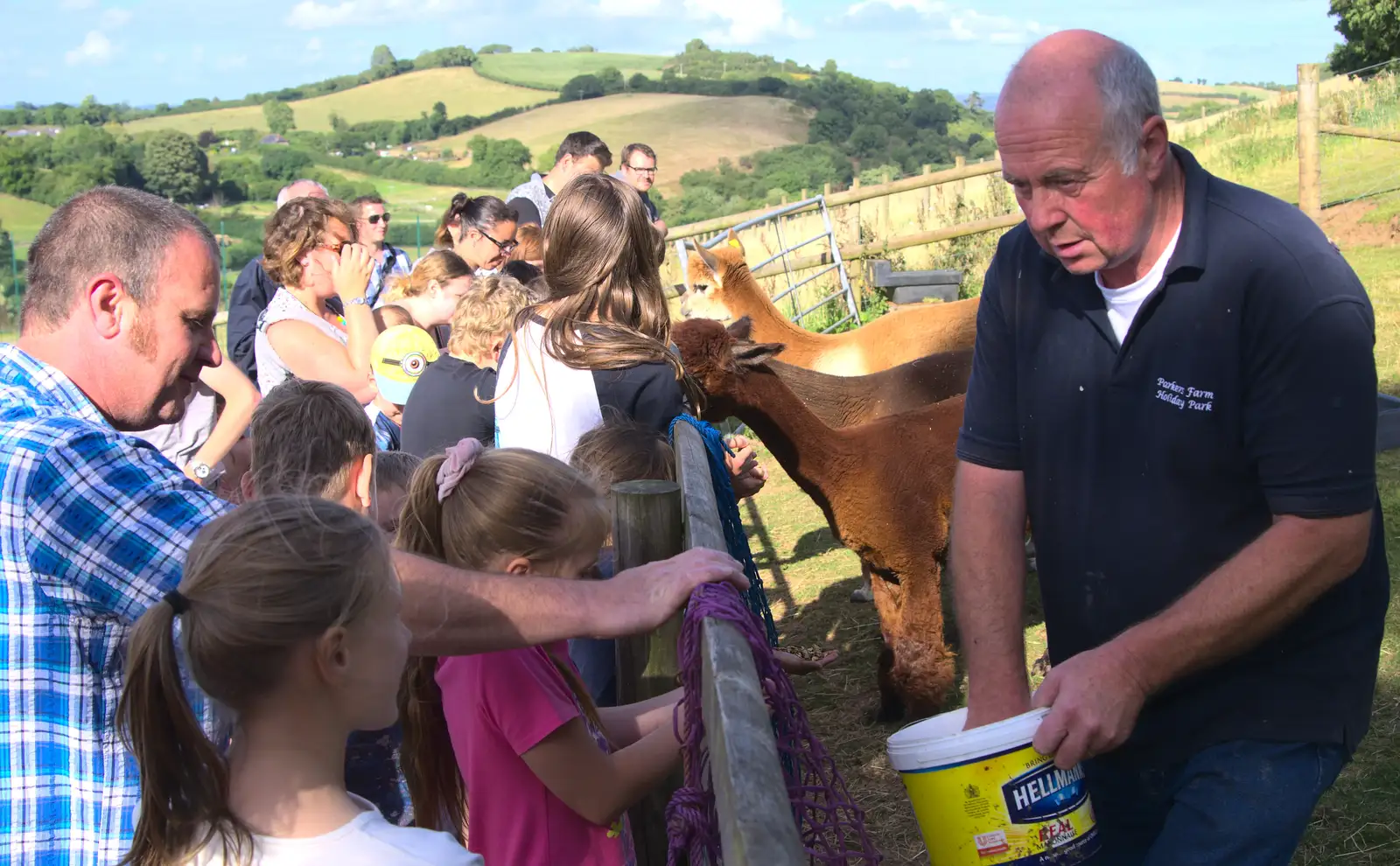 It's llama-feeding time, from Camping With Sean, Ashburton, Devon - 8th August 2016