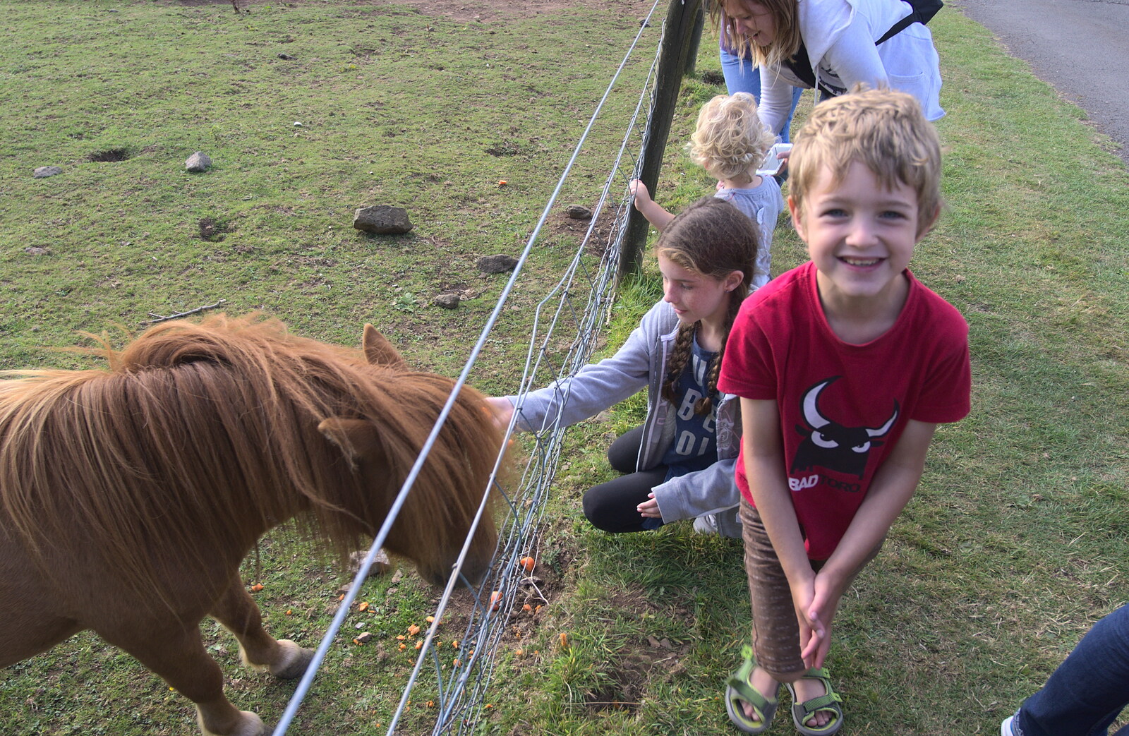 Fred is happy with his pony feeding from Camping With Sean, Ashburton, Devon - 8th August 2016