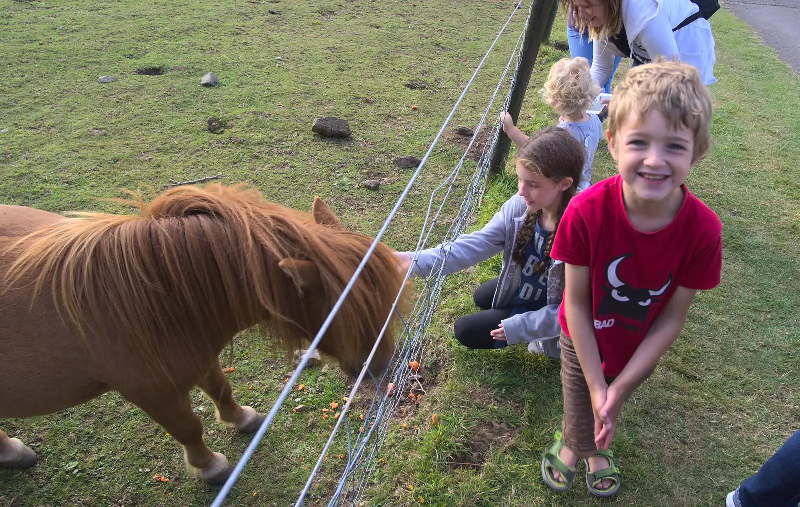 Fred is happy with his pony feeding, from Camping With Sean, Ashburton, Devon - 8th August 2016