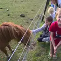 Fred is happy with his pony feeding, Camping With Sean, Ashburton, Devon - 8th August 2016