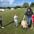 Fred follows a sheep around, Camping With Sean, Ashburton, Devon - 8th August 2016