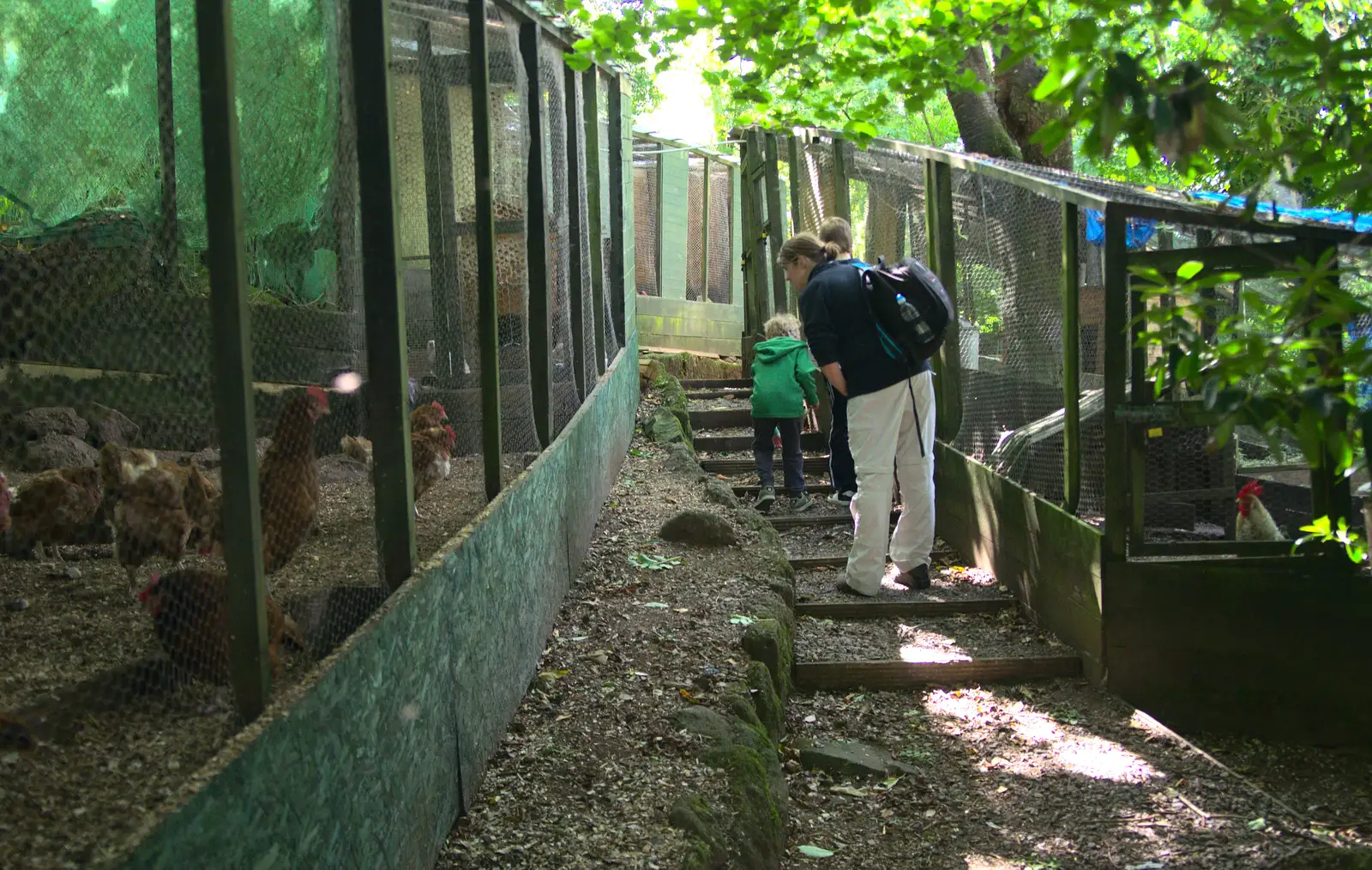 Isobel and the boys roam around the chicken sheds, from Badger's Holt and Bronze-Age Grimspound, Dartmoor, Devon - 10th August 2016