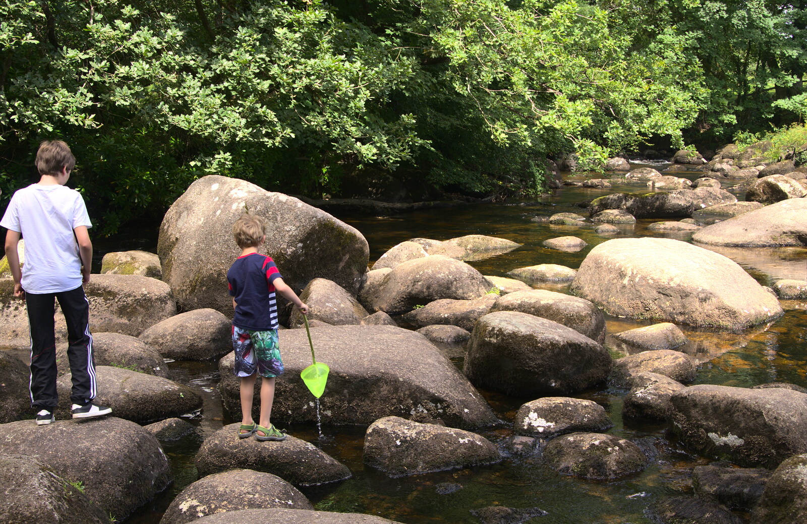 Fred fishes around with a net from Badger's Holt and Bronze-Age Grimspound, Dartmoor, Devon - 10th August 2016
