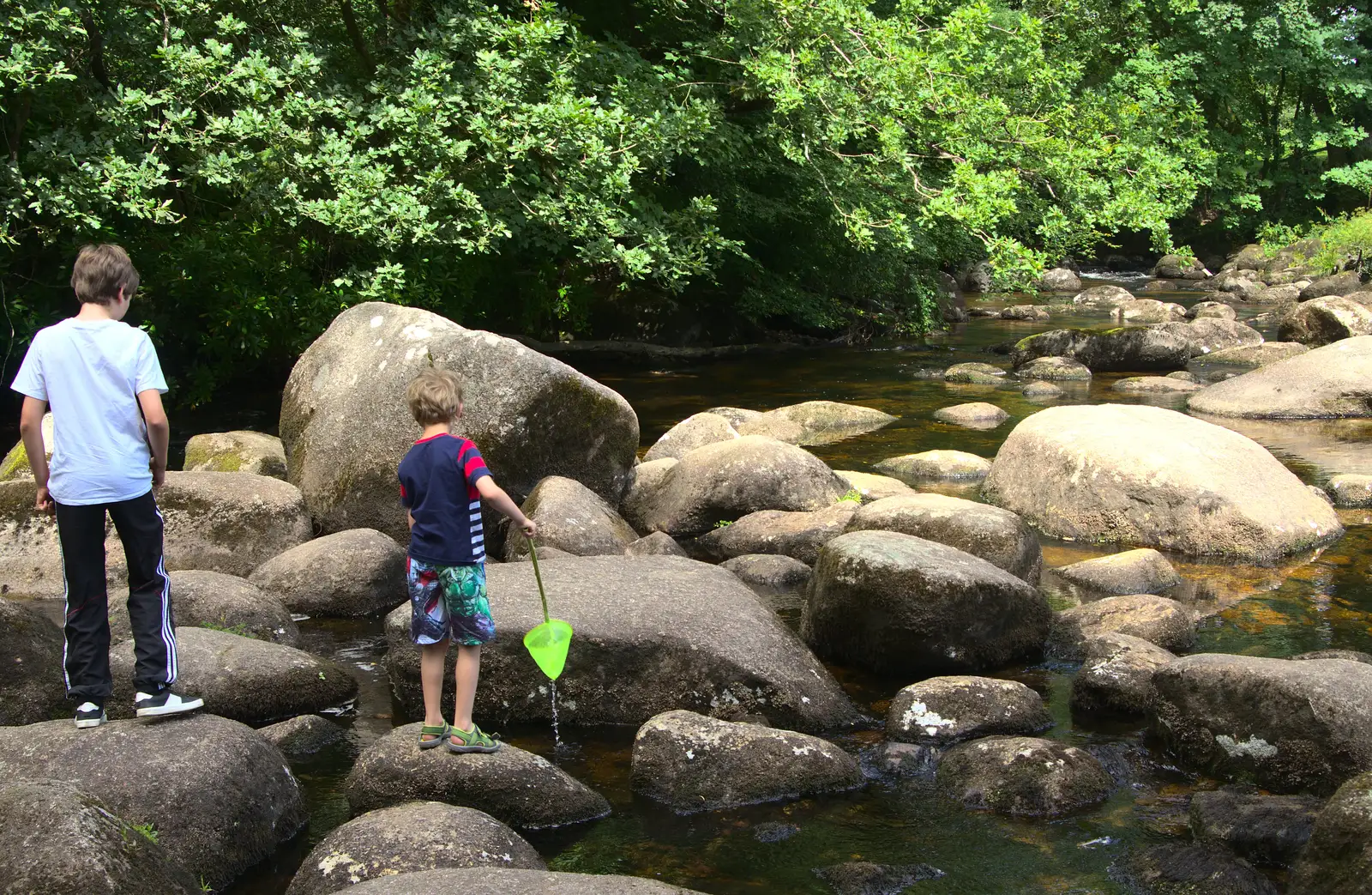 Fred fishes around with a net, from Badger's Holt and Bronze-Age Grimspound, Dartmoor, Devon - 10th August 2016