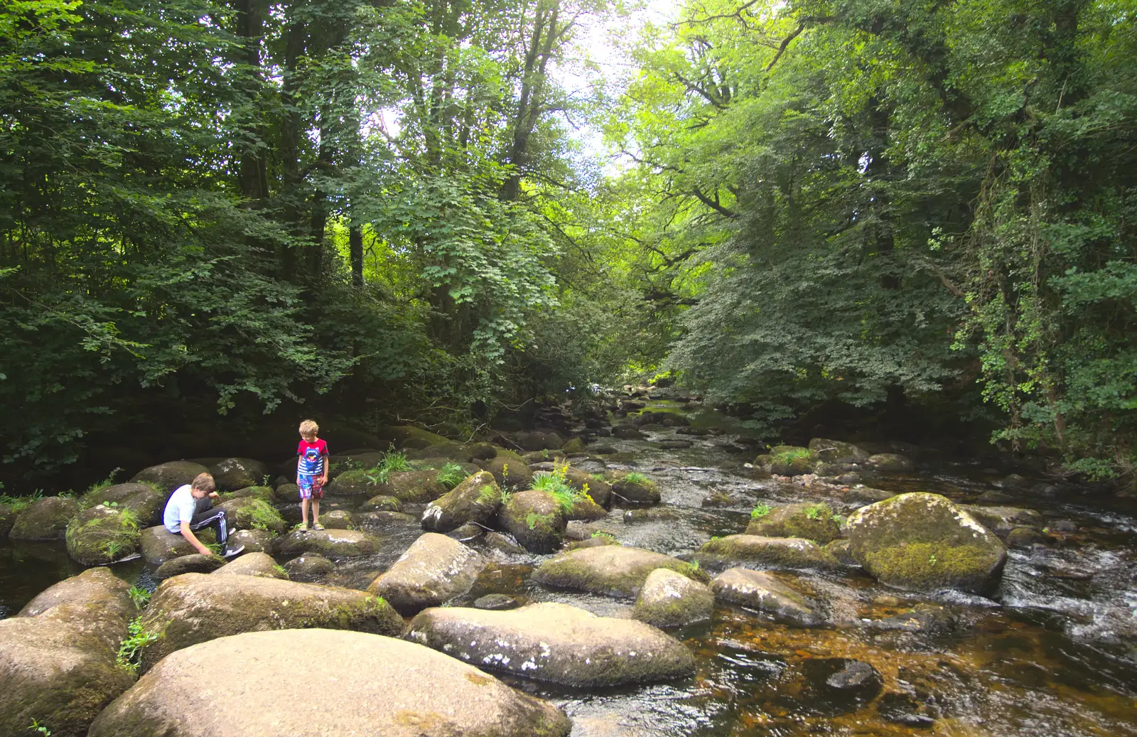 Rowan and Fred, and the river, from Badger's Holt and Bronze-Age Grimspound, Dartmoor, Devon - 10th August 2016