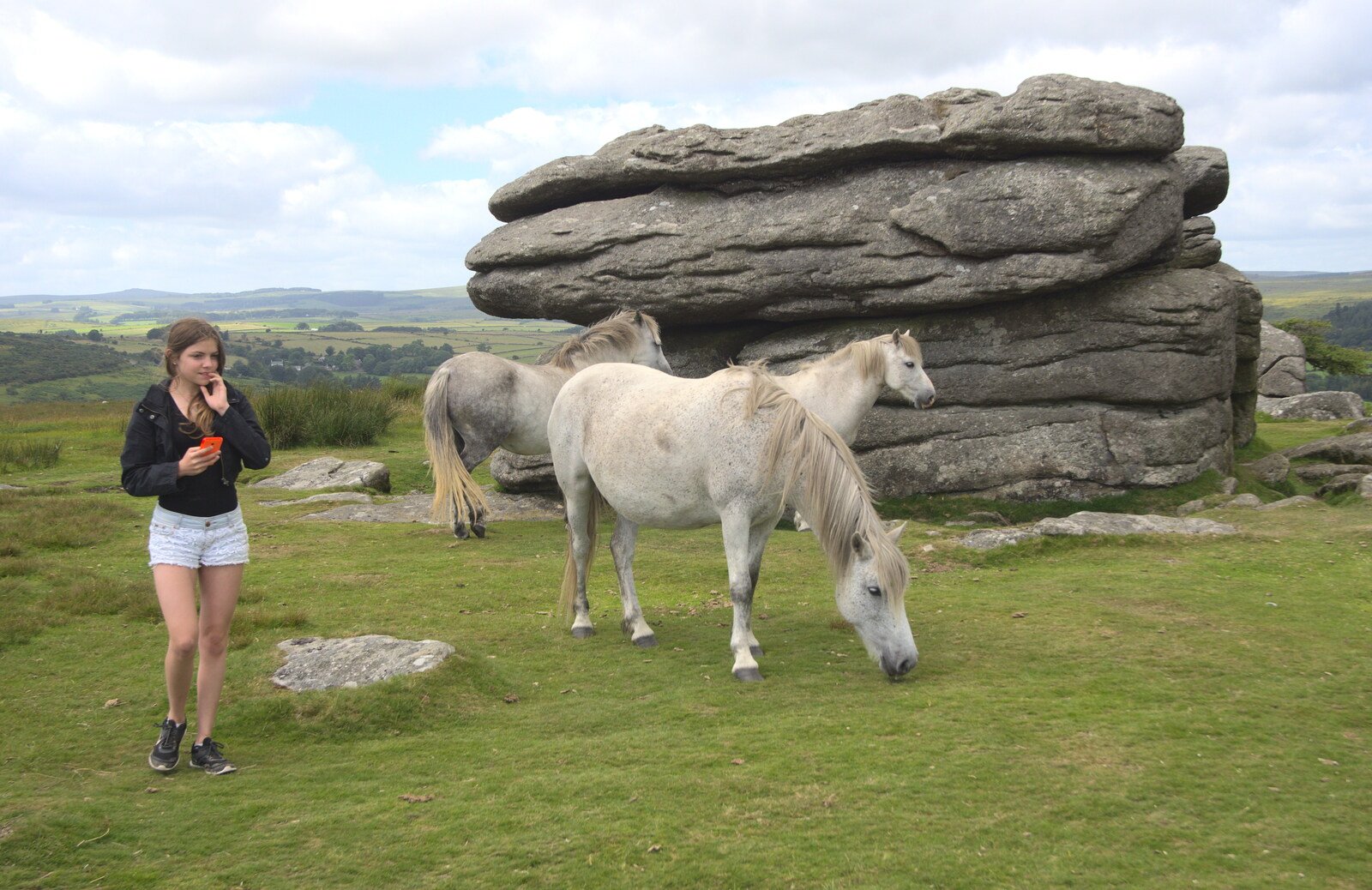 Sydney gets some photos of Dartmoor ponies from Badger's Holt and Bronze-Age Grimspound, Dartmoor, Devon - 10th August 2016