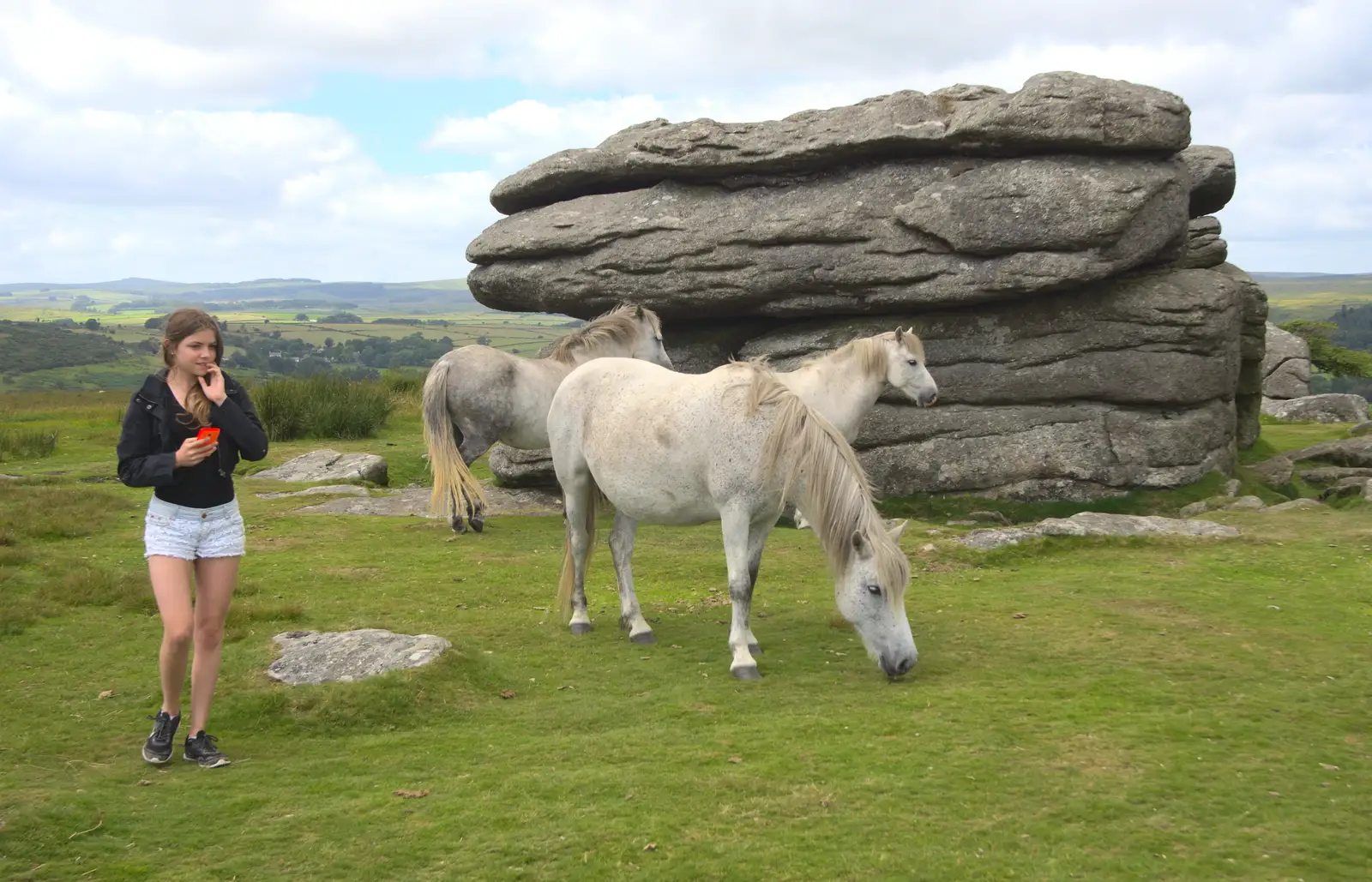 Sydney gets some photos of Dartmoor ponies, from Badger's Holt and Bronze-Age Grimspound, Dartmoor, Devon - 10th August 2016