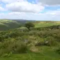 A solitary tree, Badger's Holt and Bronze-Age Grimspound, Dartmoor, Devon - 10th August 2016