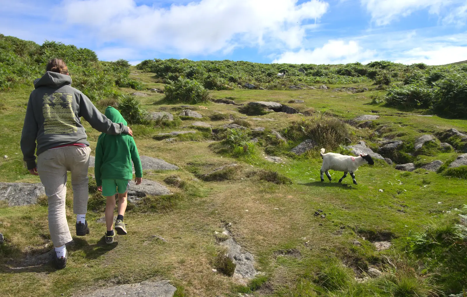 Isobel, Fred and a lamb on the way to Grimspound, from Badger's Holt and Bronze-Age Grimspound, Dartmoor, Devon - 10th August 2016