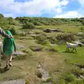 Isobel, Fred and a lamb on the way to Grimspound, Badger's Holt and Bronze-Age Grimspound, Dartmoor, Devon - 10th August 2016