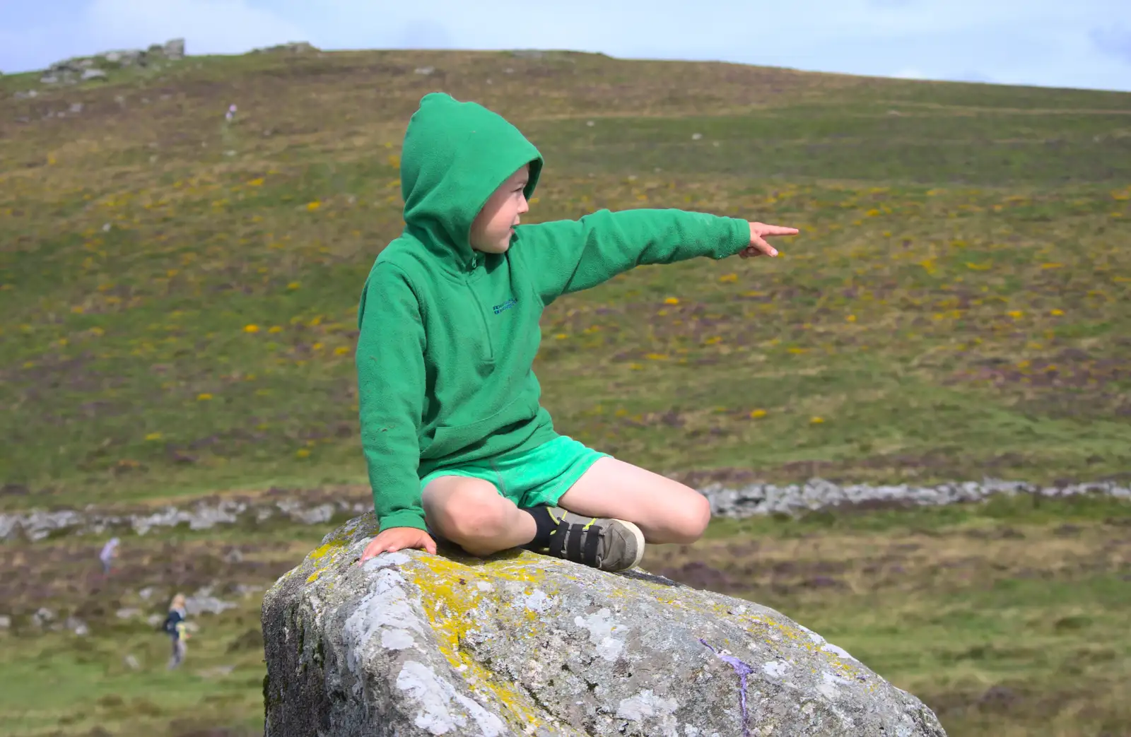 Fred does more pointing, from Badger's Holt and Bronze-Age Grimspound, Dartmoor, Devon - 10th August 2016