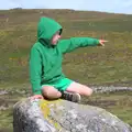 Fred does more pointing, Badger's Holt and Bronze-Age Grimspound, Dartmoor, Devon - 10th August 2016