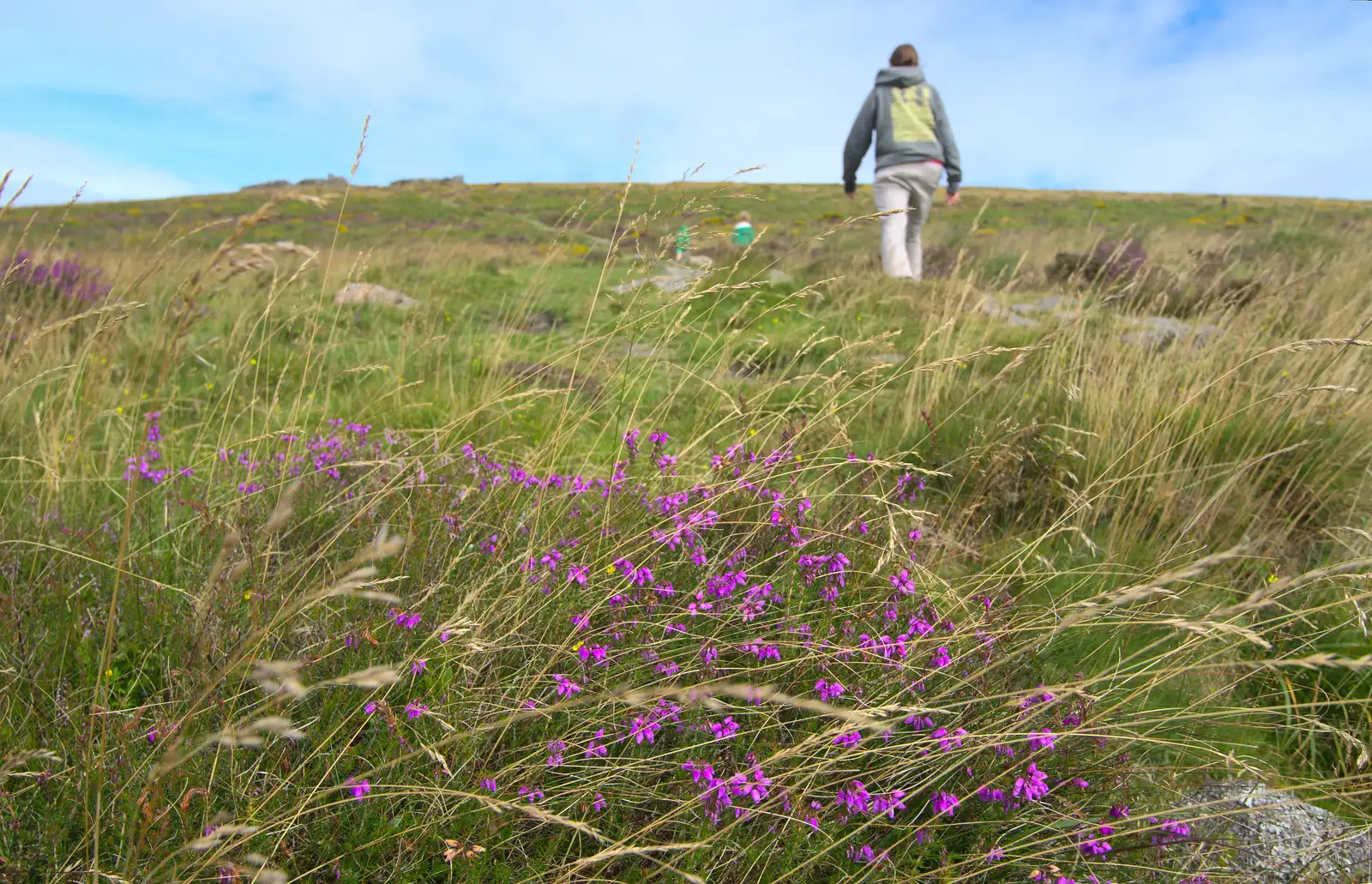 Isobel climbs up to Hookney Tor, from Badger's Holt and Bronze-Age Grimspound, Dartmoor, Devon - 10th August 2016