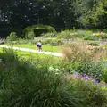 The formal gardens of Drogo, The Tom Cobley and Castle Drogo, Spreyton and Drewsteignton, Devon - 11th August 2016