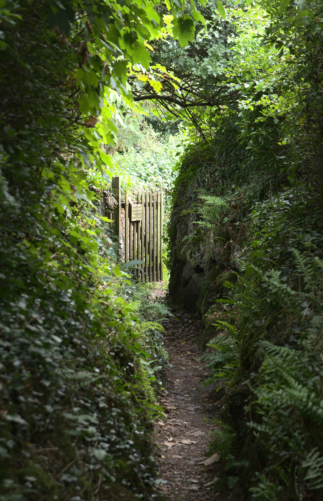 A secret passage from Finch's Foundry and Lydford Gorge, Dartmoor, Devon - 12th August 2016