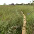 A boathouse in the reeds, A Trip to Waxham Sands,  Horsey, Norfolk - 27th August 2016