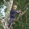 Harry's up a tree now, A Trip to Waxham Sands,  Horsey, Norfolk - 27th August 2016